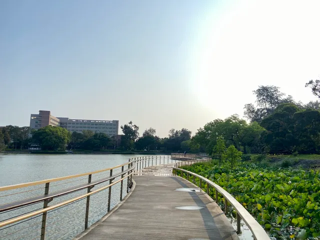 成功湖夏日