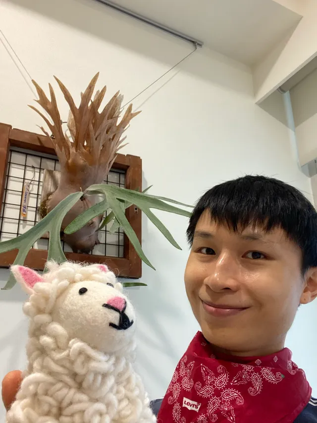 與鹿鹿和羊羊